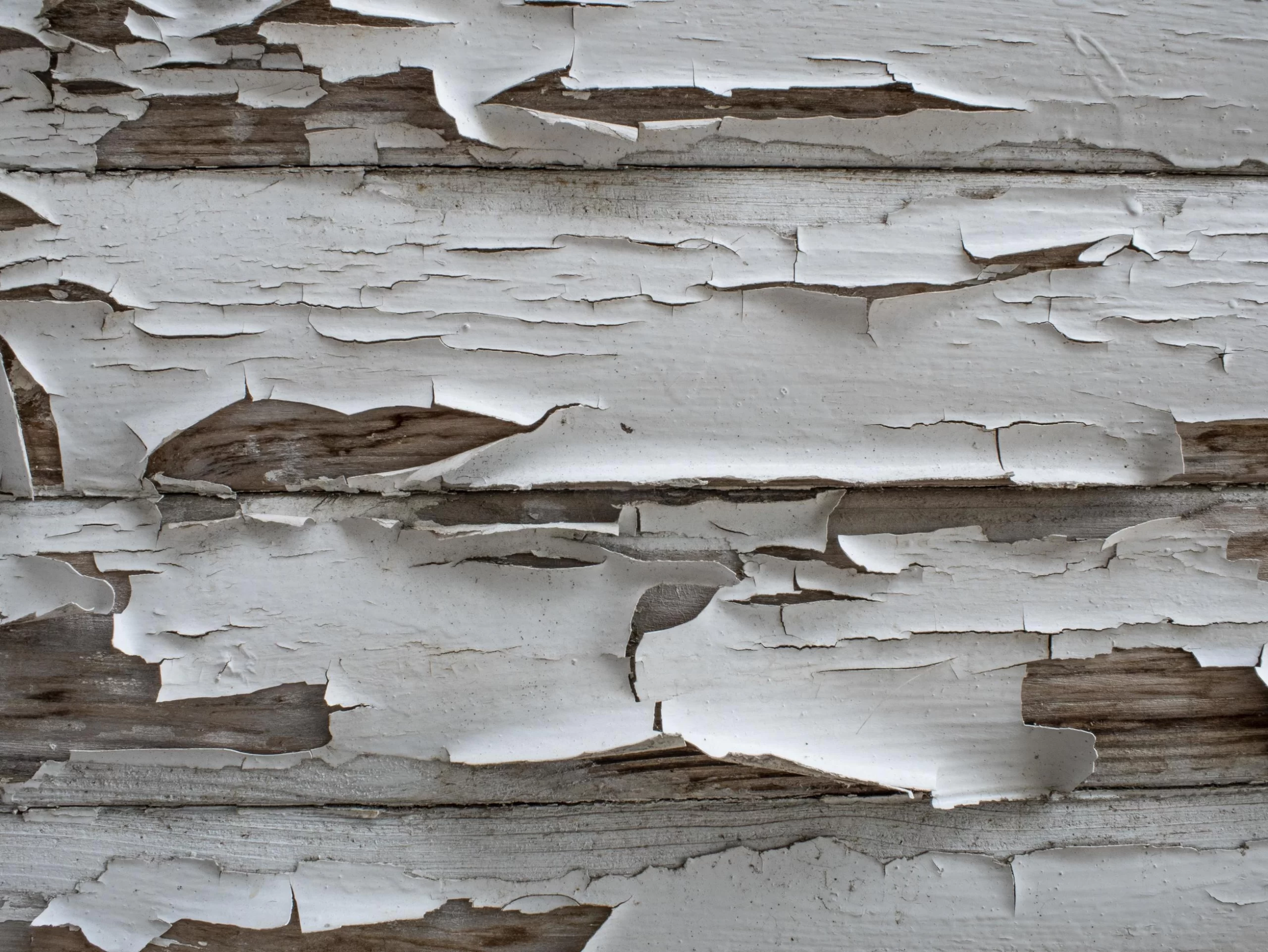 How Do You Know If Exterior Trim Is Rotting or Just Needs Paint?